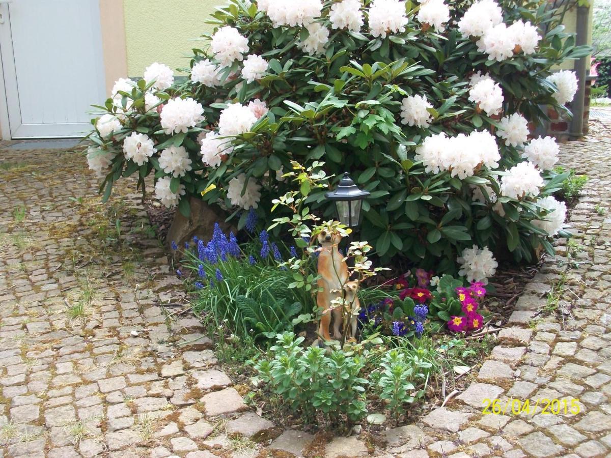 Апартаменти Giesis Wohlfuehloase Дебельн Екстер'єр фото